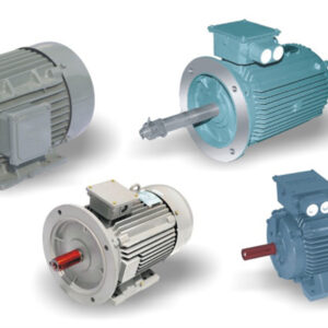 squirrel cage induction motors(three phase)